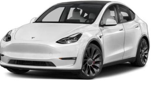 TESLA MODEL Y 2021 5YJYGDEE1MF257542 image